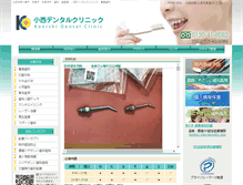 Tablet Screenshot of konishidc.com